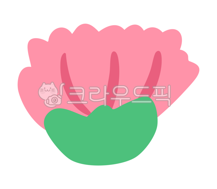 Carnation,flower,carnation illustration,carnation design,carnation drawing