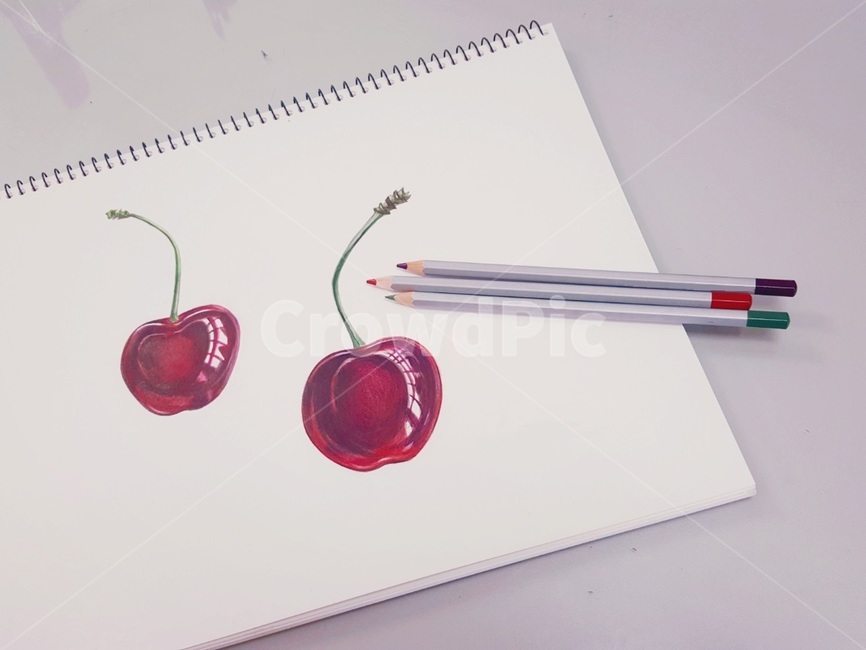 체리,그림,cherry,drawing,물감,색연필