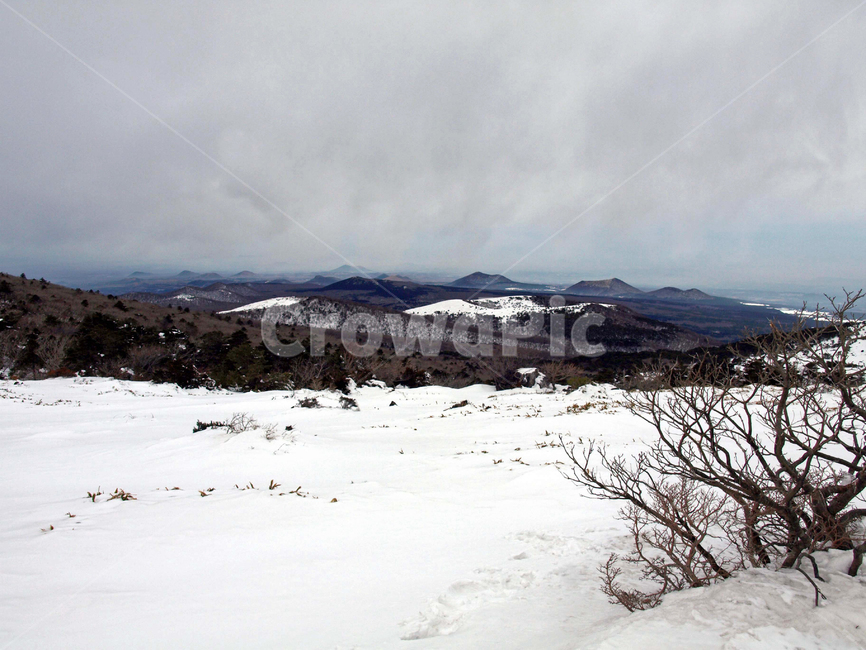어리목,한라산,제주도,겨울산,겨울,설화,눈,설경,오름,겨울,계절,winter,season,자연,풍경,nature,landscape,outdoors,옥외,plateau,고원