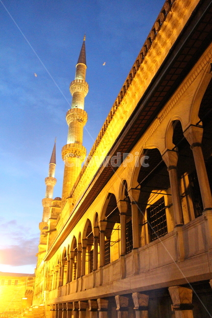 건축물,블루모스크,터키,이스탄불,건물,architecture,둥근천장,dome,building