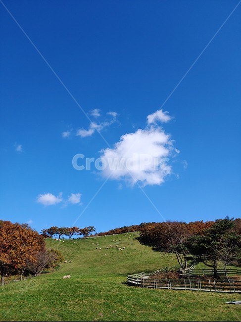 목장,구름,단풍,가을날씨,울타리,목초지,자연,들,자연,풍경,nature,landscape