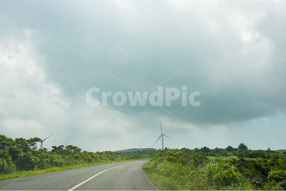 제주도,길,차도,구름,나무,숲,도로,자연,풍경,nature,landscape,road