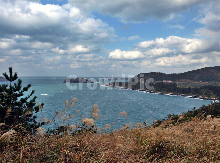 올레12코스,올레길,제주,서귀포시,생이기정,절벽,바다,자연,풍경,nature,landscape,outdoors,옥외,land,땅,shoreline,해안선,water,물,ocean,대양,sea,promontory,곶,coast,연안
