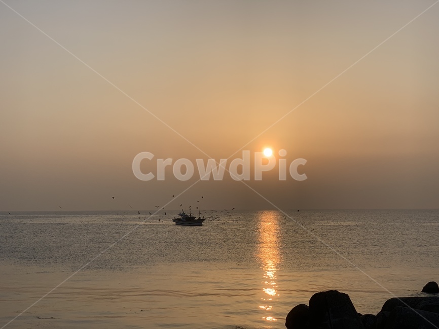 일출,해돋이,sunrise,태양,sun,새벽,dawn,수평선,horizontalline,sealine,바다,잔잔한바다,바닷가,sea,하늘,sky,갈매기,seagull,mew,gull,seamew,seagull,배,고기잡이배,ship,boat,만선,고기잡이,fullsail,자연,풍경,nature,landscape,outdoors,옥외,sunlight,햇빛