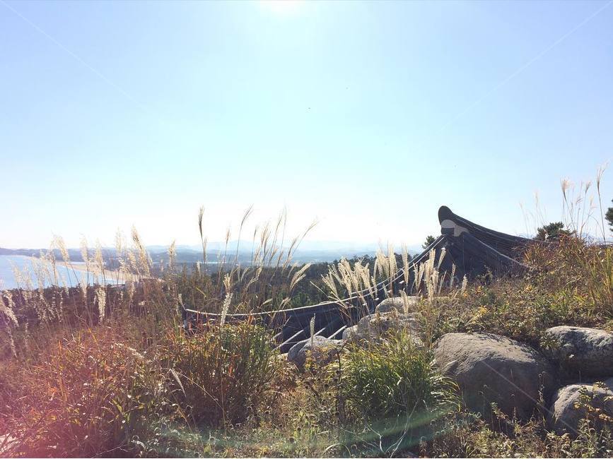 빛,풍경,갈대,따뜻함,가을,자연,풍경,nature,landscape,한국전통,한국문화,korean traditional,korean culture,outdoors,옥외