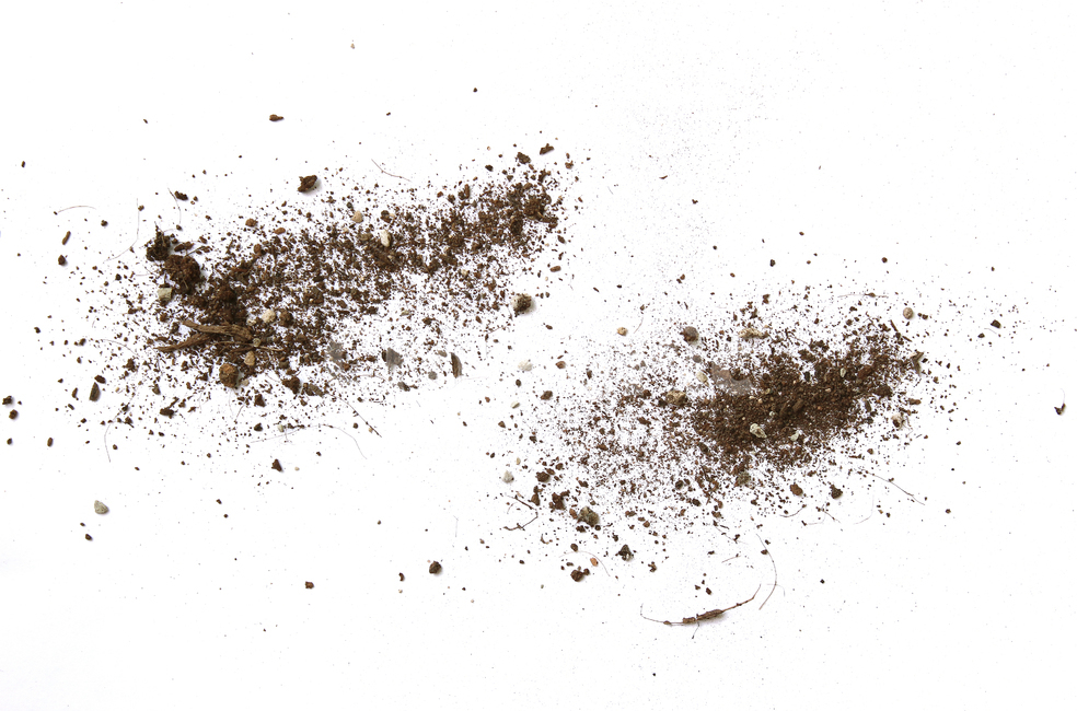 흙,모래,soil,sand,soiltexture,탑앵글,흰배경,누끼,가루,흙가루,모래가루,갈색,브라운,텍스춰,건조한,black,botany,brown,closeup,compost,dark,dirt,dirty,dry,dust,grain,heap,humus,ingredient,macro,mineral,nobody,object,organic,path,powder,splash,spray,texture,topview,toxic,뿌린,누끼,remove background