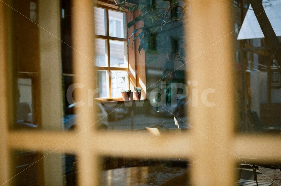 shadow,sunshine,space,interior,film photography,healing,pot,35mm,by the window,spare,tree,sensitive,film,Emotional photo,sunlight,cafe,lattice,plant,window