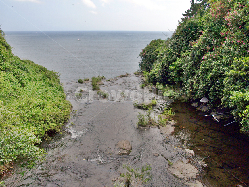 하천,올레6코스,올레길,제주,서귀포시,서복공원,자연,풍경,nature,landscape,land,땅,outdoors,옥외,water,물