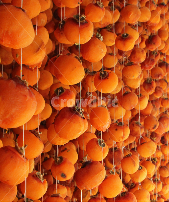 홍시,곶감,주황색,자연,시골,풍경,감,음식,식재료,요리,food,cook,meal,dishes,food reserves,과일,열매,fruit