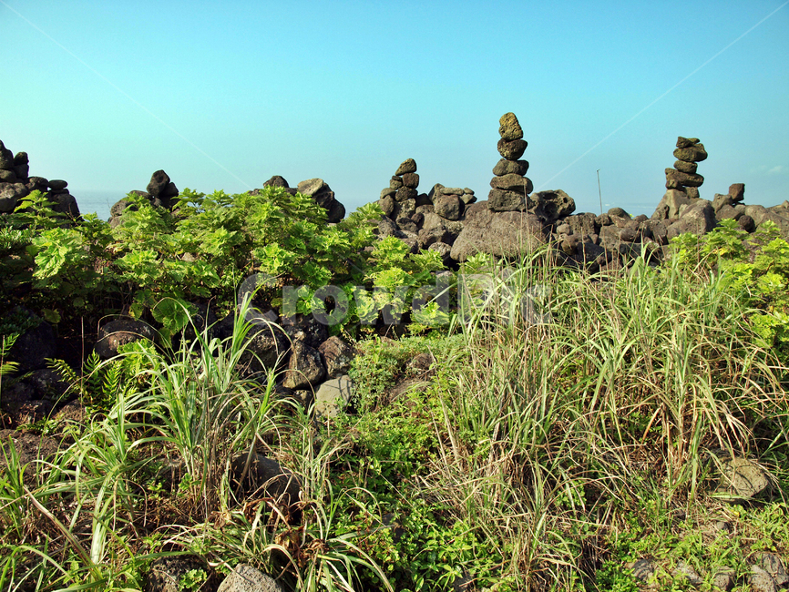 돌탑,온평포구,올레3코스,올레,제주,서귀포,현무암,자연,풍경,nature,landscape,jar,항아리,plant,식물,potted plant,화분,pottery,도기류,vegetation,초목,bush,부시