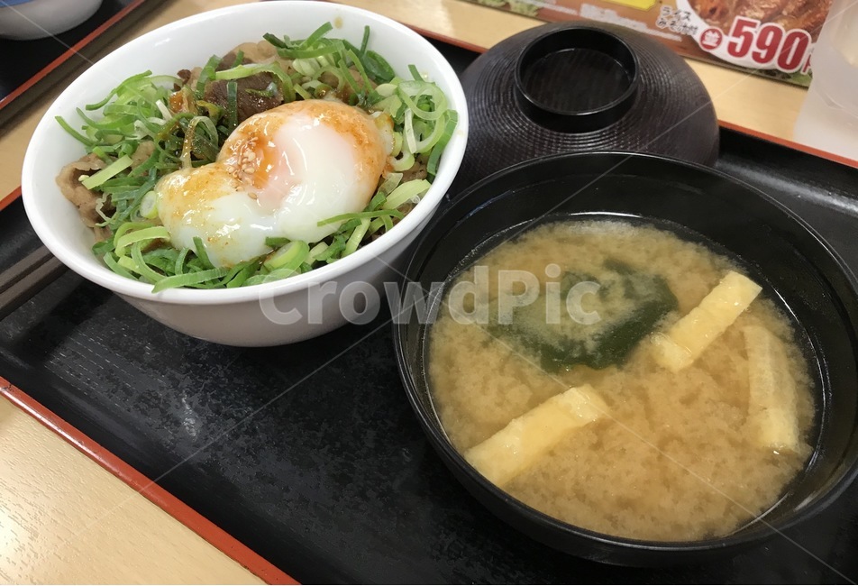 규동,일식,아침식사,미소국,마츠야,수란,소고기덮밥,일본식덮밥