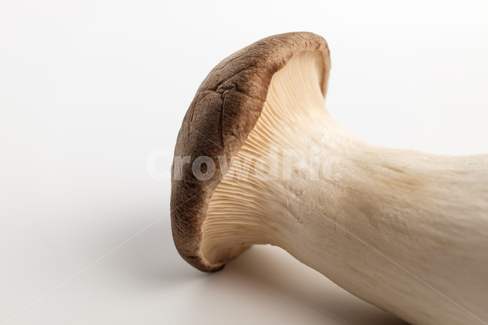 새송이버섯,버섯,음식,채소,채식,식용버섯,식용,날것,재료,식재료,음식재료,식품,식사,건강한,맛있는,부드러운,큰,균,야채,질감,비타민c,웰빙,육질,버섯갓,버섯기둥