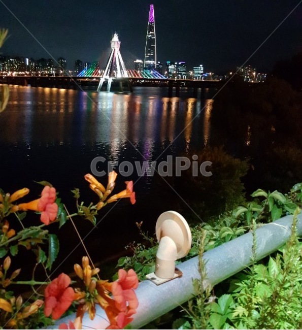 밤하늘,바다,슬픔,이별,야경,배경