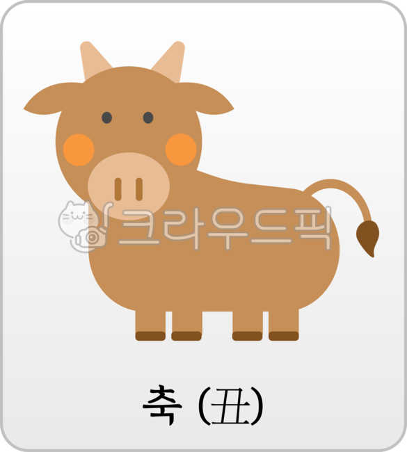 동물,animal,소띠,자축인묘진사오미신유술해,동물띠,신년운세,신년띠,띠별운세,사주팔자,띠별사주,동물카드