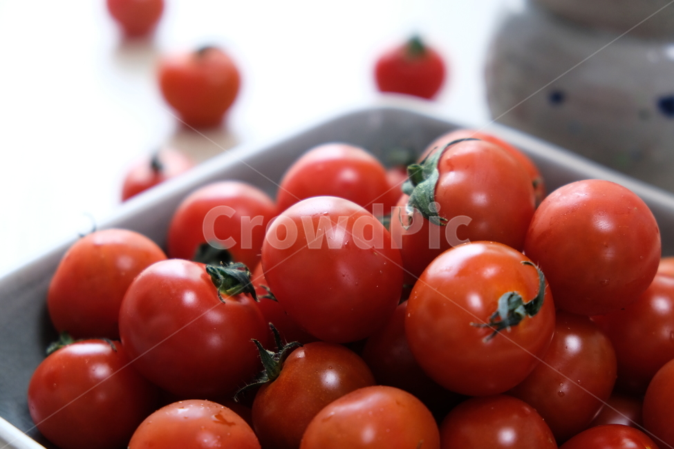 토마토,방울토마토,과일,야채,식품,신선,음식,tomato,droptomato,fruit,vegetables,fresh,food,음식,식재료,요리,food,cook,meal,dishes,food reserves,과일,열매,fruit,채소,야채,vegetables
