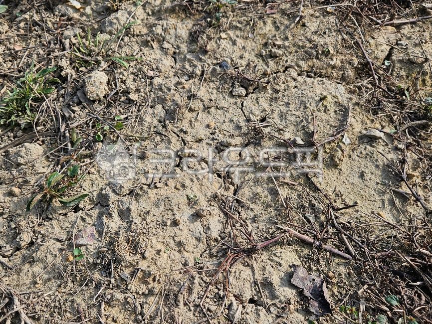 nature,dirt,soil,dry land,Earth,earth,land,ground