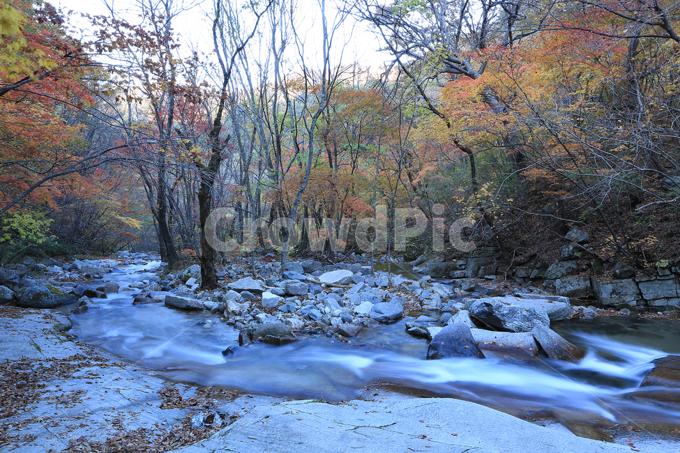 가을,계곡,방태산,fall,valley,단풍,autumncolors,가을,계절,fall,autumn,season,자연,풍경,nature,landscape,water,물,outdoors,옥외