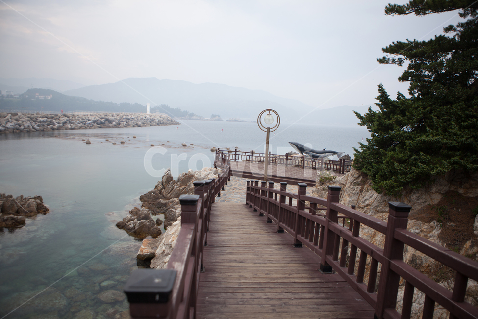 산책로,bridge,다리,sea,wave,바다,삼척,동해,장호항