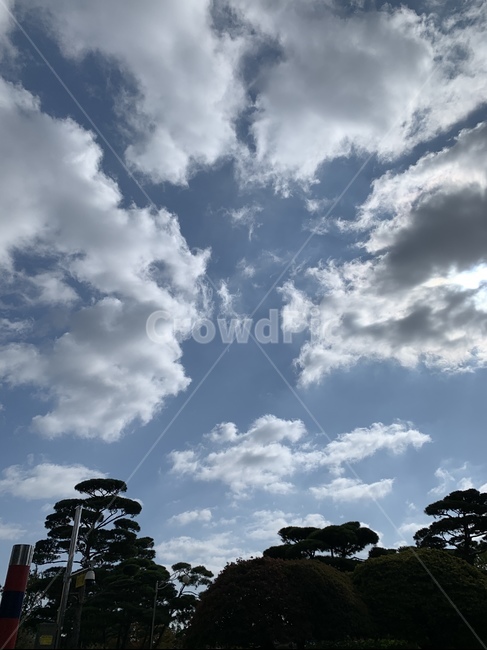 하늘,자연,풍경,구름,날씨,바람,맑음,흐림,sky,nature,view,cloud,weather,wind,landscape,outdoors,옥외,푸른하늘,cumulus,적운