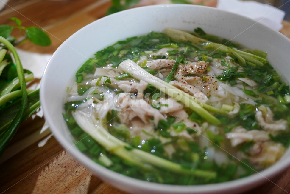 베트남,food,음식,쌀국수,pho,달랏,음식,식재료,요리,food,cook,meal,dishes,food reserves,면류,면요리,noodles