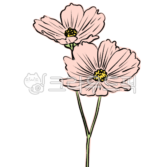 flower drawing,nature,flower painting,sauce,line drawing,flower,petal,flower illustration,plant illustration,plant,design source
