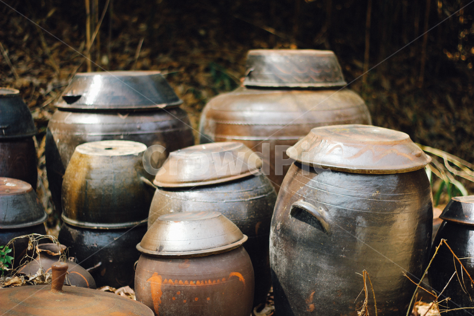 장독대,시골,옹기,항아리,감성,한국전통,한국문화,korean traditional,korean culture,사물,물건,오브젝트,thing,object,matter