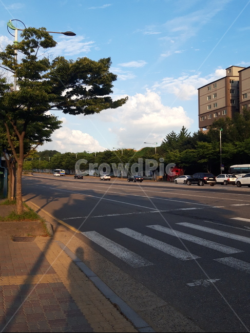 길가,구름,날씨,풍경,빌라,나무,하늘