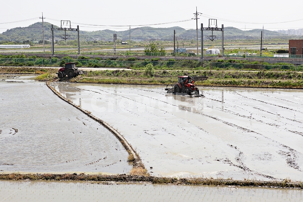 논,농업,트렉터,농기구,모내기,시골,자연,풍경