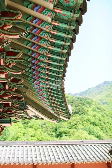 종교,자연,지붕,불교,절,한국전통,한국문화,korean traditional,korean culture,건축물,건물외관,exterior,building,structure,architecture,construction