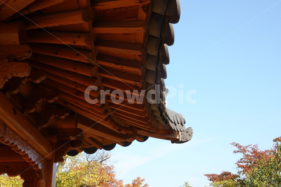 한국,가을,지붕,기와,하늘,한국전통,한국문화,korean traditional,korean culture