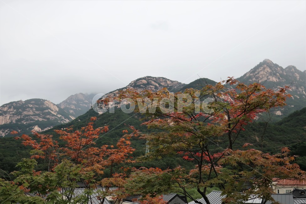 산,북한산,전망,풍경,단풍,전경,산세,경관,구경,조망,가을,계절,fall,autumn,season,자연,풍경,nature,landscape,한국자연풍경,한국자연경관,korea nature landscape,outdoors,옥외