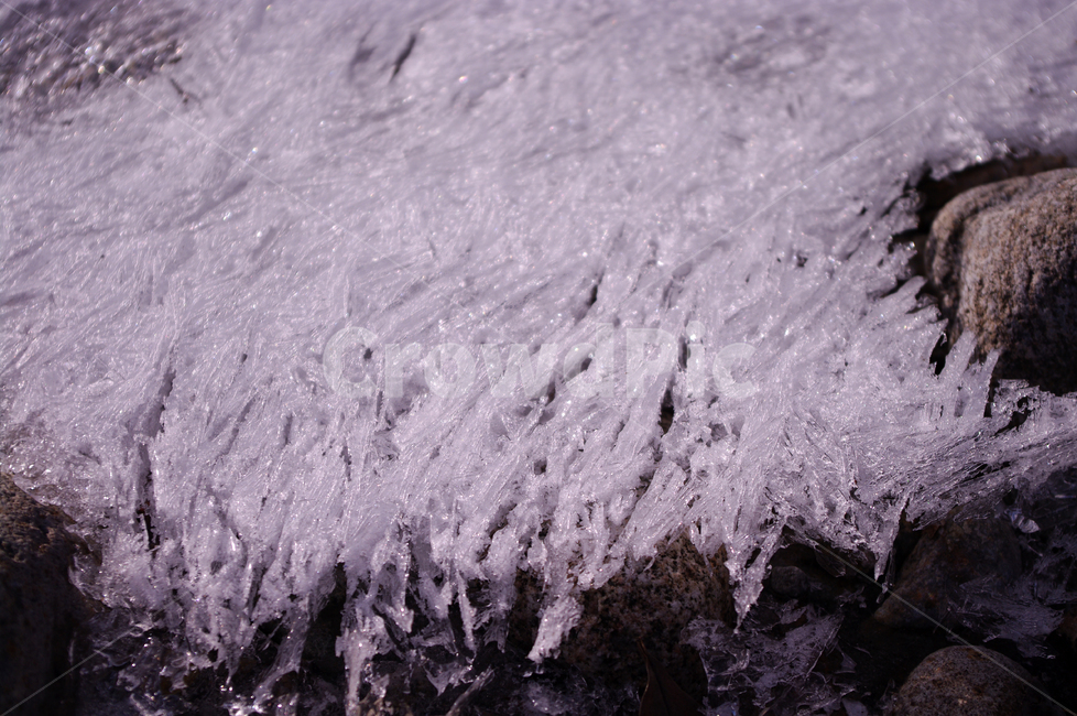 겨울,어름,강,바위,눈,겨울,계절,winter,season