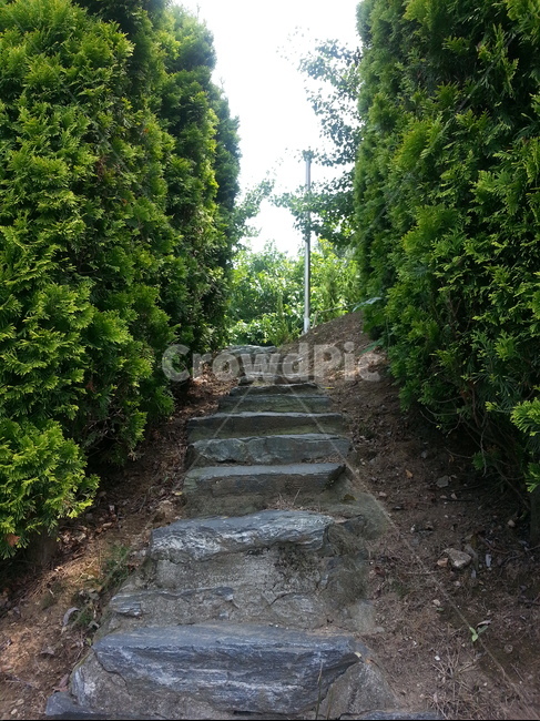 계단,공원,나무,자연,산책,자연,풍경,nature,landscape,slate,슬레이트,flagstone,판석,outdoors,옥외,road,도로,gravel,자갈,dirt road,흙길