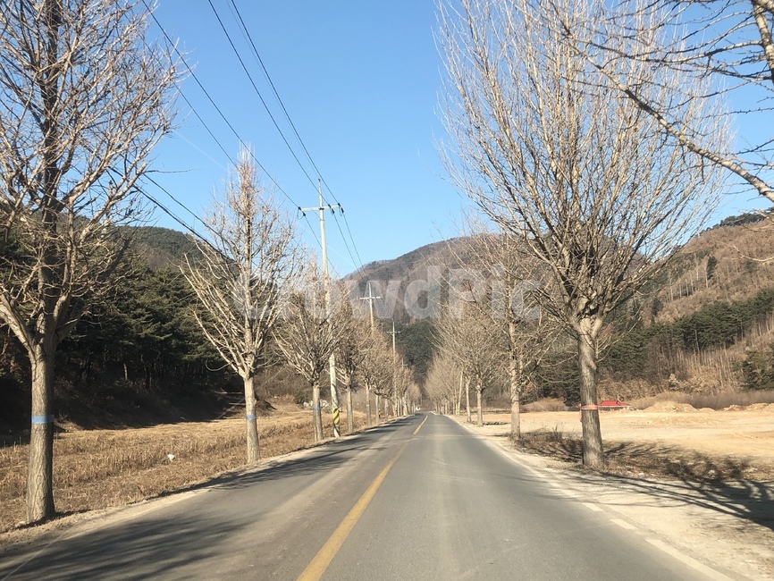 겨울나무,도로,힐링,드라이브,겨울
