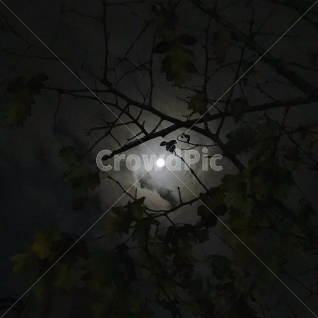 보름달,밤하늘,달,달무리,하늘