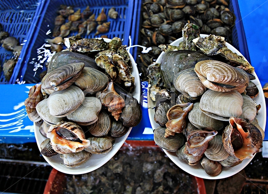 조개,식재료,먹거리,음식,조개구이,배경,자연,시장,마트,마켓,market,mart,market place,음식,식재료,요리,food,cook,meal,dishes,food reserves,수산물,해산물,fishery products,seafood