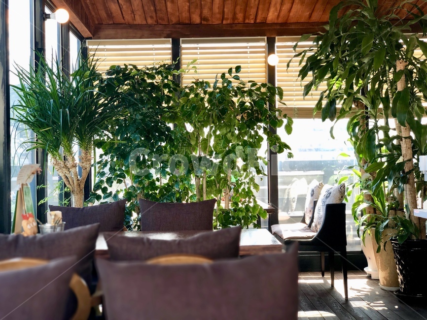 카페,인테리어,식물,화분,햇살,감성,감성적,인테리어,실내디자인,interior design