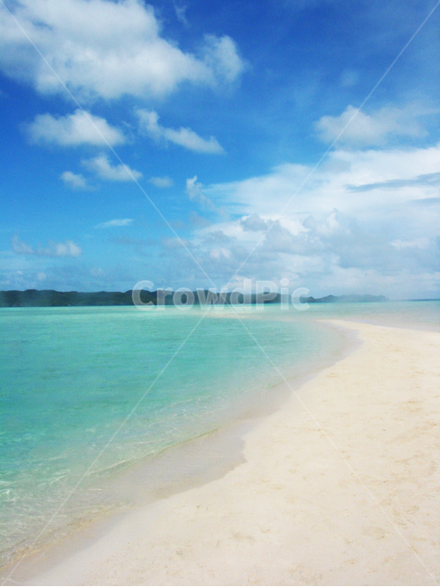 바다,sea,travel,summer,여름,휴가,vacation,모래사장,팔라우,palau,맑음,sunny,cloud,구름,하늘,sky,여름,계절,summer,season,자연,풍경,nature,landscape,해변,바다,beach,sea,land,땅,outdoors,옥외,shoreline,해안선,water,물,ocean,대양,coast,연안,바닷가
