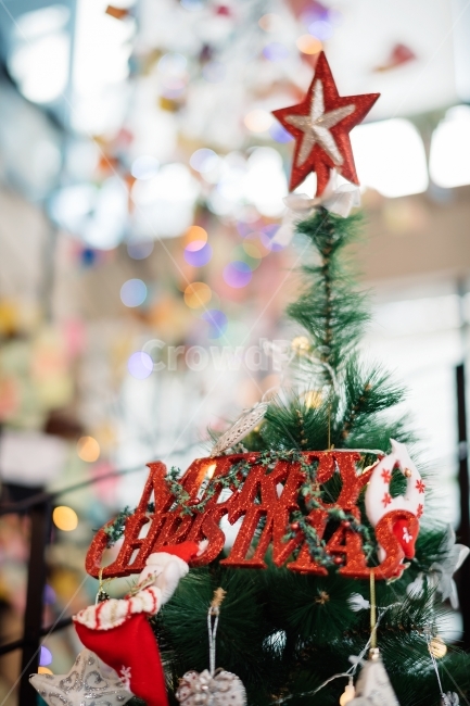 크리스마스,christmas,xmas,성탄절,겨울,분위기,트리,보케,일상,스냅,snap,감성사진,겨울,계절,winter,season,기념일,축하,anniversary,congratulation,celebrate,celebration,메리크리스마스,성탄절,merry christmas,감성,sensible,feeling