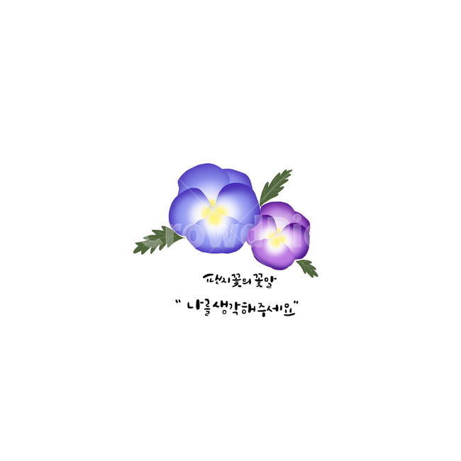 팬지꽃,팬지꽃꽃말,팬지,꽃말,꽃말일러스트,꽃일러스트,꽃말캘리그라피,캘리그라피,캘리,꽃,꽃그림,사랑글귀,좋은글,고백,팬지꽃그림,그래픽,일러스트레이션,graphic,illustration,캘리그라피,손글씨,calligraphy