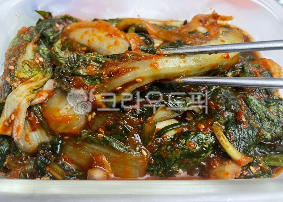 Idiot,Eolgali Kimchi,kimchi,Spicy,superficially,Korean cuisine,cook,chopsticks,Korean,spicy,vegetable,food,meal,rice thief,dish,Korean food,plant,ingredients,mukbang,koreanfood