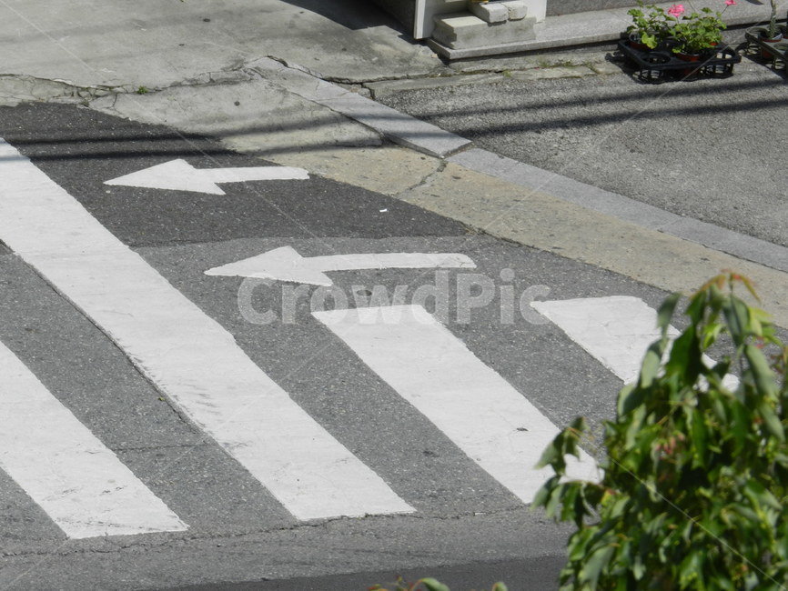 횡단보도,crosswalk,보도,crossing,길건너는곳,건널목