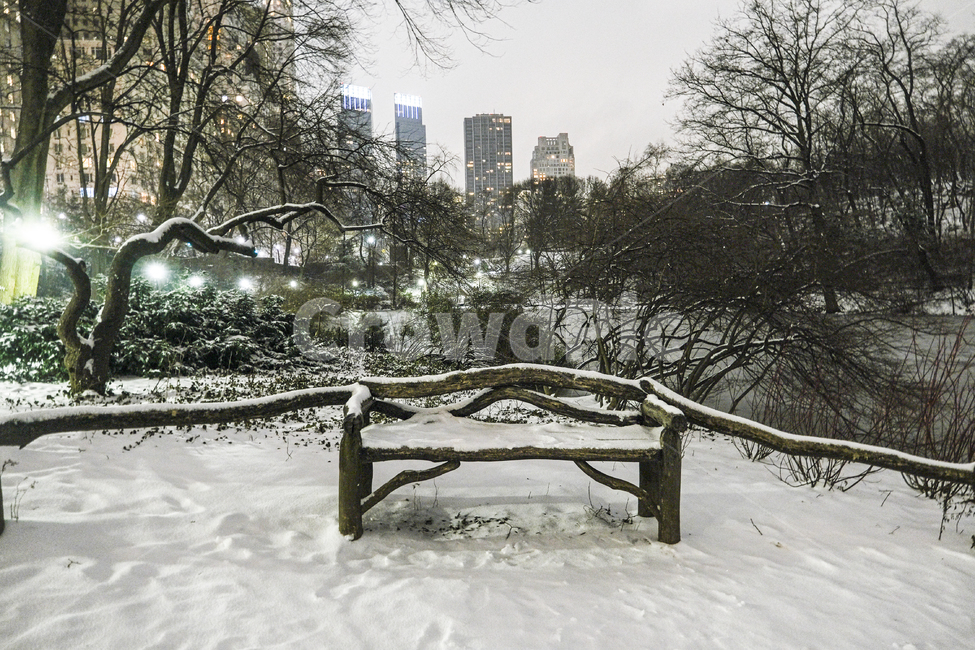 outdoors,nature,자연,눈,눈보라,야경,밤,공원,호수,뉴욕,newyork,centralpark,park,blizzard,storm,bench
