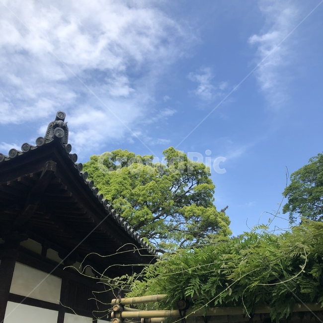 일본,집,감성,한국,outdoors