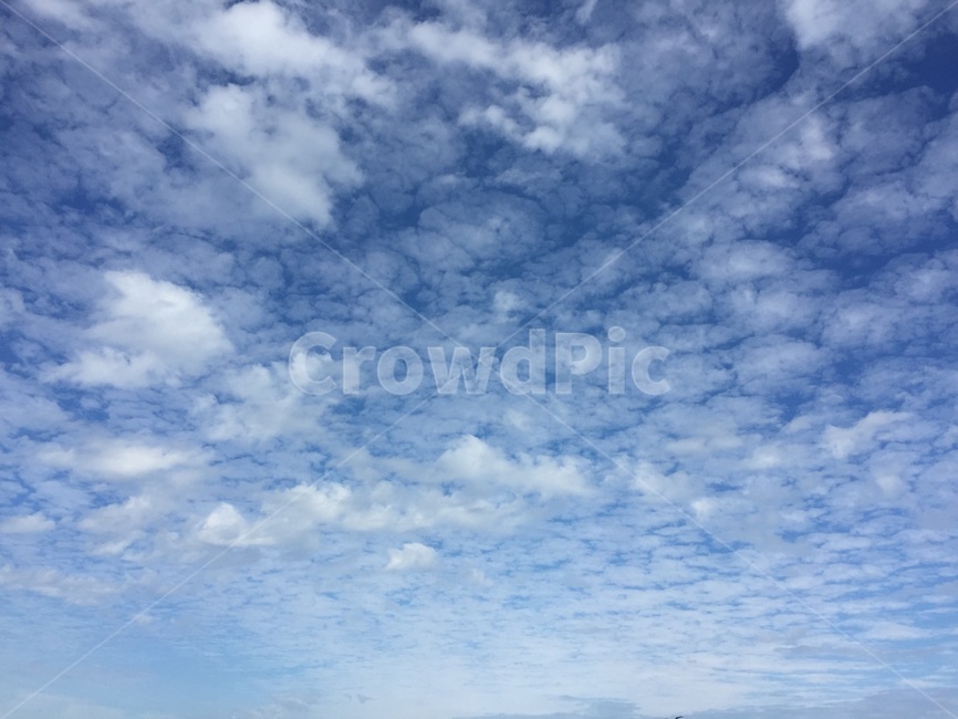 하늘,구름,파랑,푸른하늘,sky