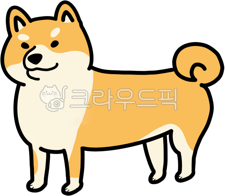 반려동물,시바견,강아지,귀여운동물,반려견
