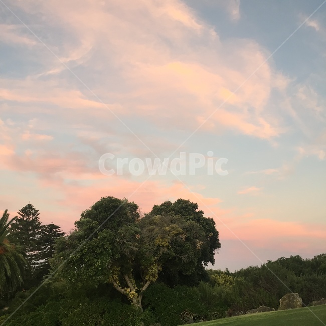 호주,하늘,석양,나무,퍼스,자연,풍경,nature,landscape,outdoors,옥외