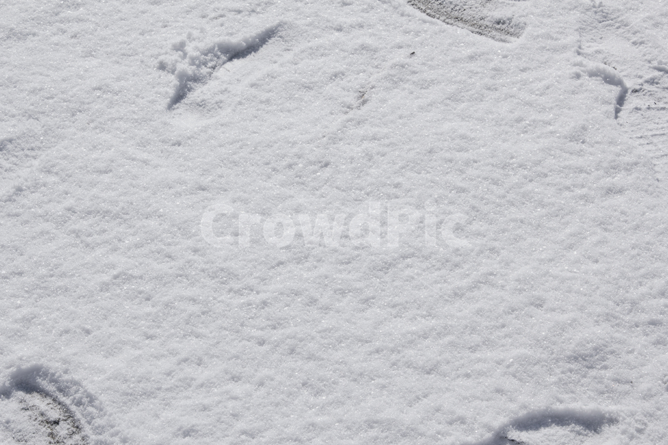 겨울,눈,눈밭,스노우,눈길,눈쌓인,폭설,자연,snow,흰색,화이트,하얀색,탑,탑뷰,탑앵글,표면,겨울,계절,winter,season
