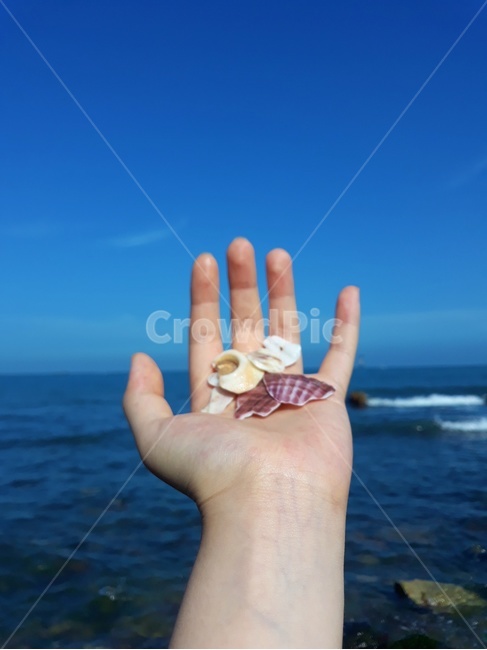 조개껍데기,조개,손,바다,하늘