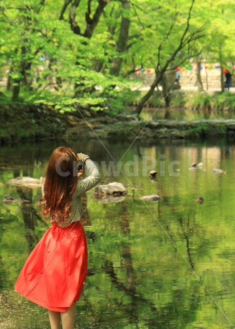 woman,beauty,concept,shooting,hanbok,scenery,summer,spring,beautiful,directing photo,model,tradition,female,camera,Korea,rest,reflection,nature,tree,portrait,people,water,Travel,emotion,temple,Healing,directing,valley,style,travel,landscape,Korean traditi